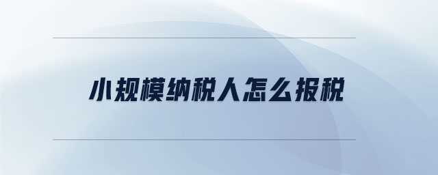 小規(guī)模納稅人怎么報稅 小規(guī)模納稅人怎么報稅
