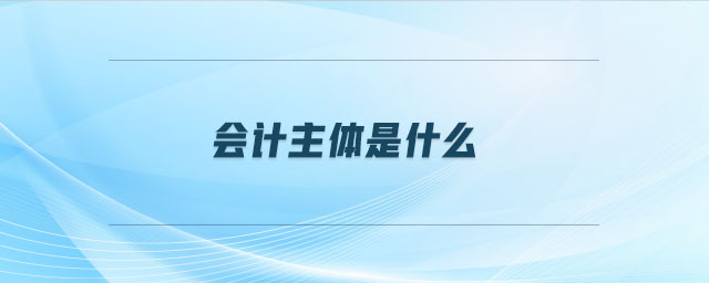 會計(jì)主體是什么