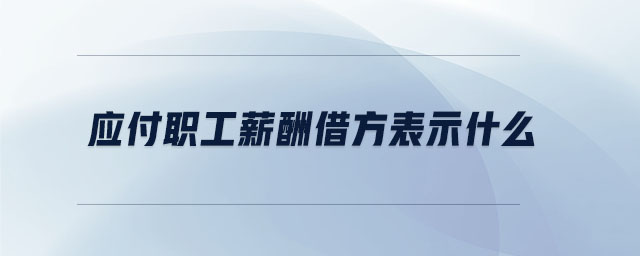 應(yīng)付職工薪酬借方表示什么 應(yīng)付職工薪酬借方表示什么