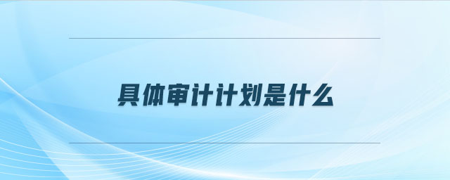 具體審計(jì)計(jì)劃是什么 具體審計(jì)計(jì)劃是什么