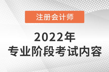 2022年注冊會(huì)計(jì)師專業(yè)階段考什么？