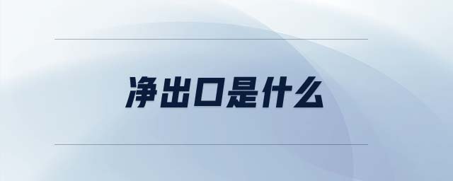 凈出口是什么