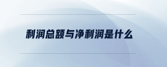 利潤(rùn)總額與凈利潤(rùn)是什么