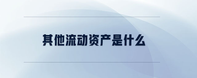 其他流動資產(chǎn)是什么