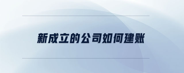 新成立的公司如何建賬