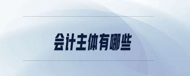 會(huì)計(jì)主體有哪些