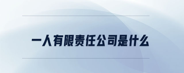 一人有限責(zé)任公司是什么 一人有限責(zé)任公司是什么