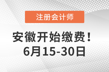 2023年安徽省阜陽地區(qū)注會報名費用是多少？點擊完成交費！