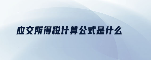 應交所得稅計算公式是什么