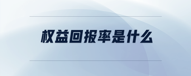 權(quán)益回報率是什么