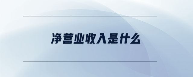 凈營業(yè)收入是什么