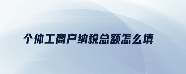 個(gè)體工商戶納稅總額怎么填
