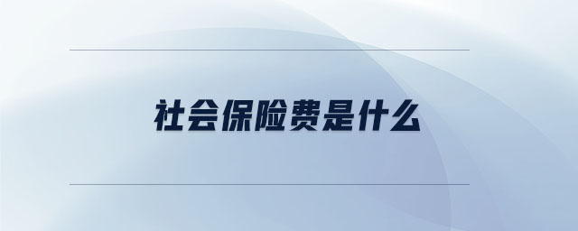 社會保險費是什么 社會保險費是什么