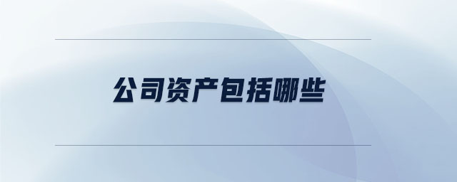 公司資產(chǎn)包括哪些 公司資產(chǎn)包括哪些