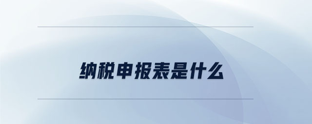 納稅申報(bào)表是什么
