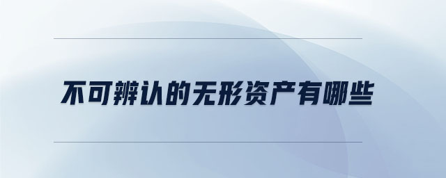 不可辨認(rèn)的無形資產(chǎn)有哪些