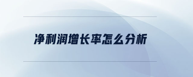 凈利潤(rùn)增長(zhǎng)率怎么分析 凈利潤(rùn)增長(zhǎng)率怎么分析