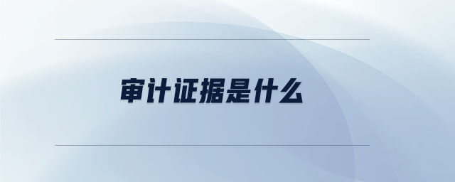 審計證據(jù)是什么 審計證據(jù)是什么
