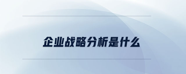 企業(yè)戰(zhàn)略分析是什么