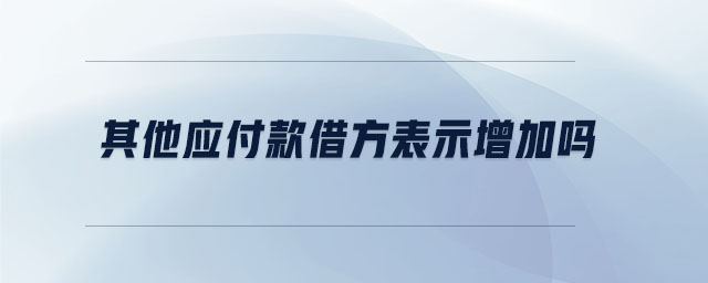 其他應付款借方表示增加嗎 其他應付款借方表示增加嗎