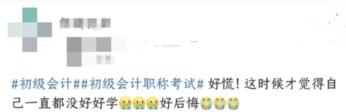 初級(jí)會(huì)計(jì)職稱考試