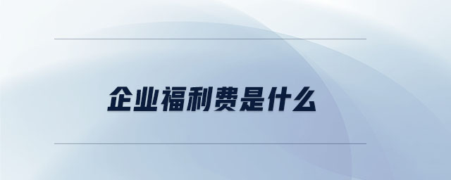 企業(yè)福利費是什么 企業(yè)福利費是什么