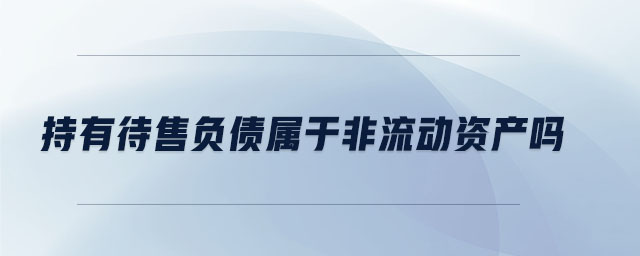 持有待售負(fù)債屬于非流動(dòng)資產(chǎn)嗎