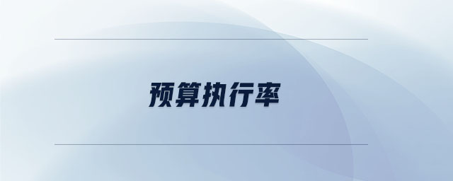 預(yù)算執(zhí)行率