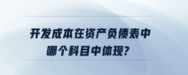 開發(fā)成本在資產(chǎn)負(fù)債表中哪個(gè)科目中體現(xiàn)？