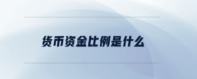 貨幣資金比例是什么 貨幣資金比例是什么