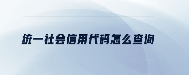 統(tǒng)一社會信用代碼怎么查詢