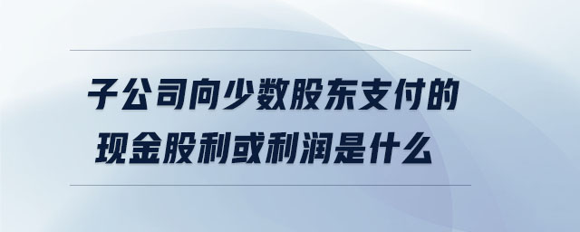 子公司向少數(shù)股東支付的現(xiàn)金股利或利潤是什么