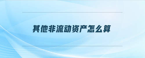 其他非流動(dòng)資產(chǎn)怎么算