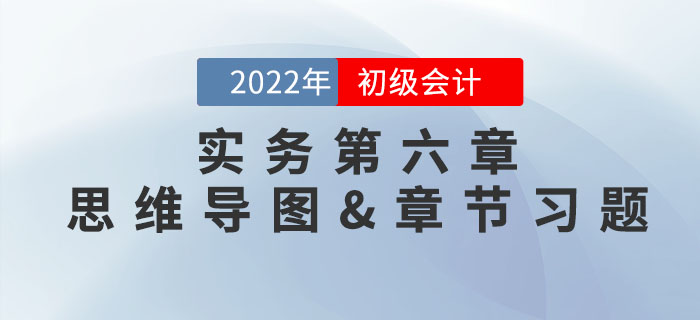 2022年《初級(jí)會(huì)計(jì)實(shí)務(wù)》第六章思維導(dǎo)圖+章節(jié)練習(xí)