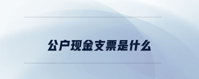 公戶現(xiàn)金支票是什么 公戶現(xiàn)金支票是什么