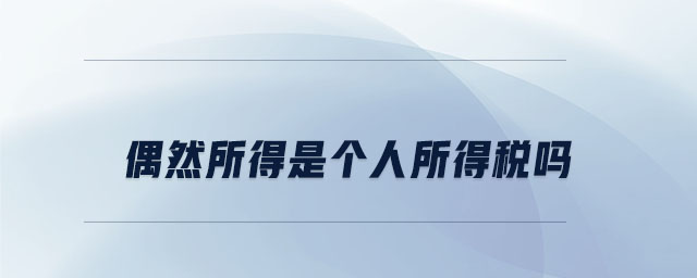 偶然所得是個(gè)人所得稅嗎