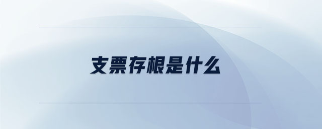 支票存根是什么 支票存根是什么