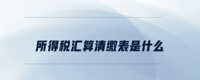 所得稅匯算清繳表是什么