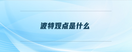 波特觀點是什么