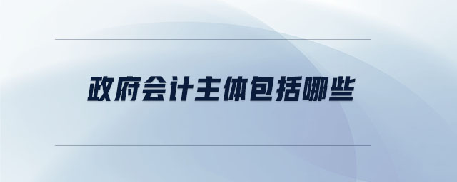 政府會計主體包括哪些