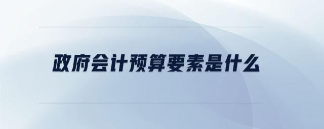 政府會計預算要素是什么