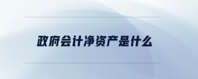 政府會(huì)計(jì)凈資產(chǎn)是什么 政府會(huì)計(jì)凈資產(chǎn)是什么