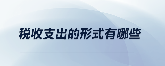 稅收支出的形式有哪些
