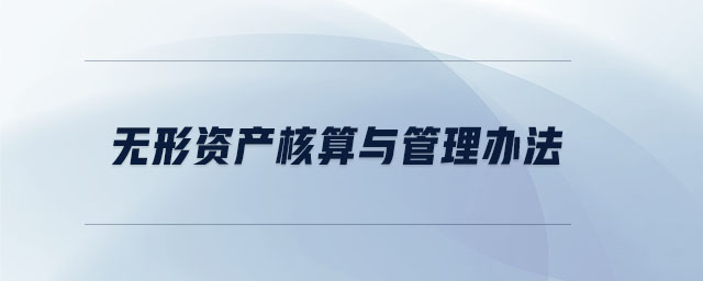 無形資產核算與管理辦法
