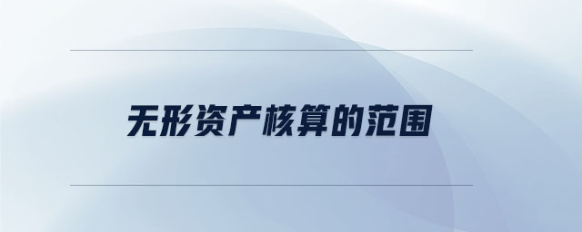 無(wú)形資產(chǎn)核算的范圍