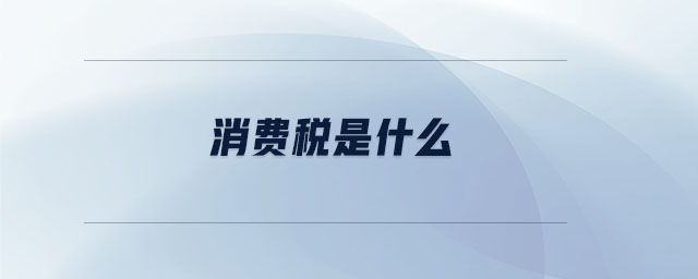 消費稅是什么 消費稅是什么
