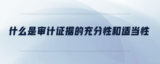 什么是審計(jì)證據(jù)的充分性和適當(dāng)性