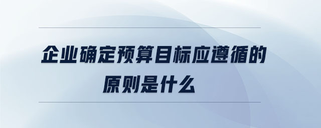 企業(yè)確定預算目標應(yīng)遵循的原則是什么
