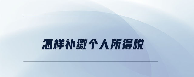 怎樣補(bǔ)繳個(gè)人所得稅 怎樣補(bǔ)繳個(gè)人所得稅