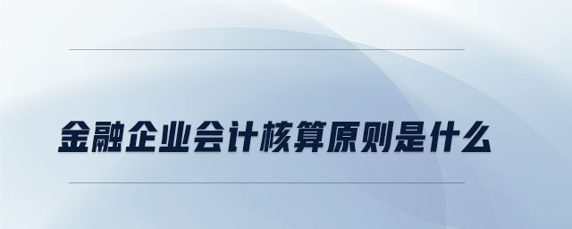 金融企業(yè)會計核算原則是什么
